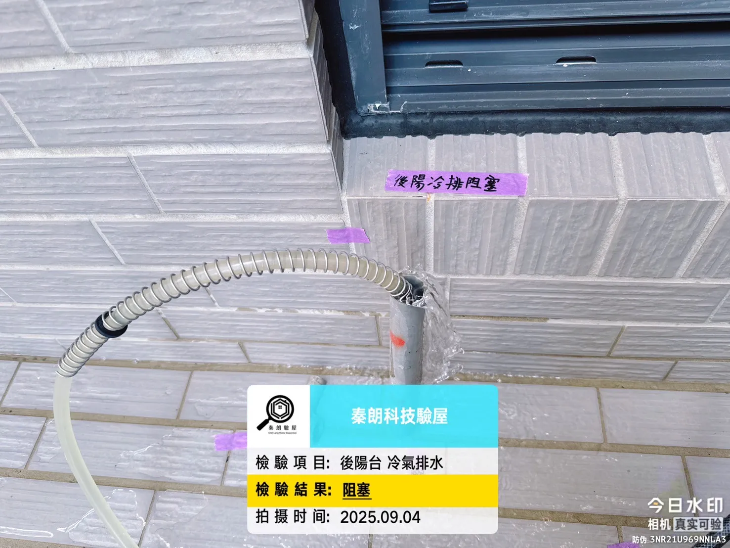 仁德 東門CASA