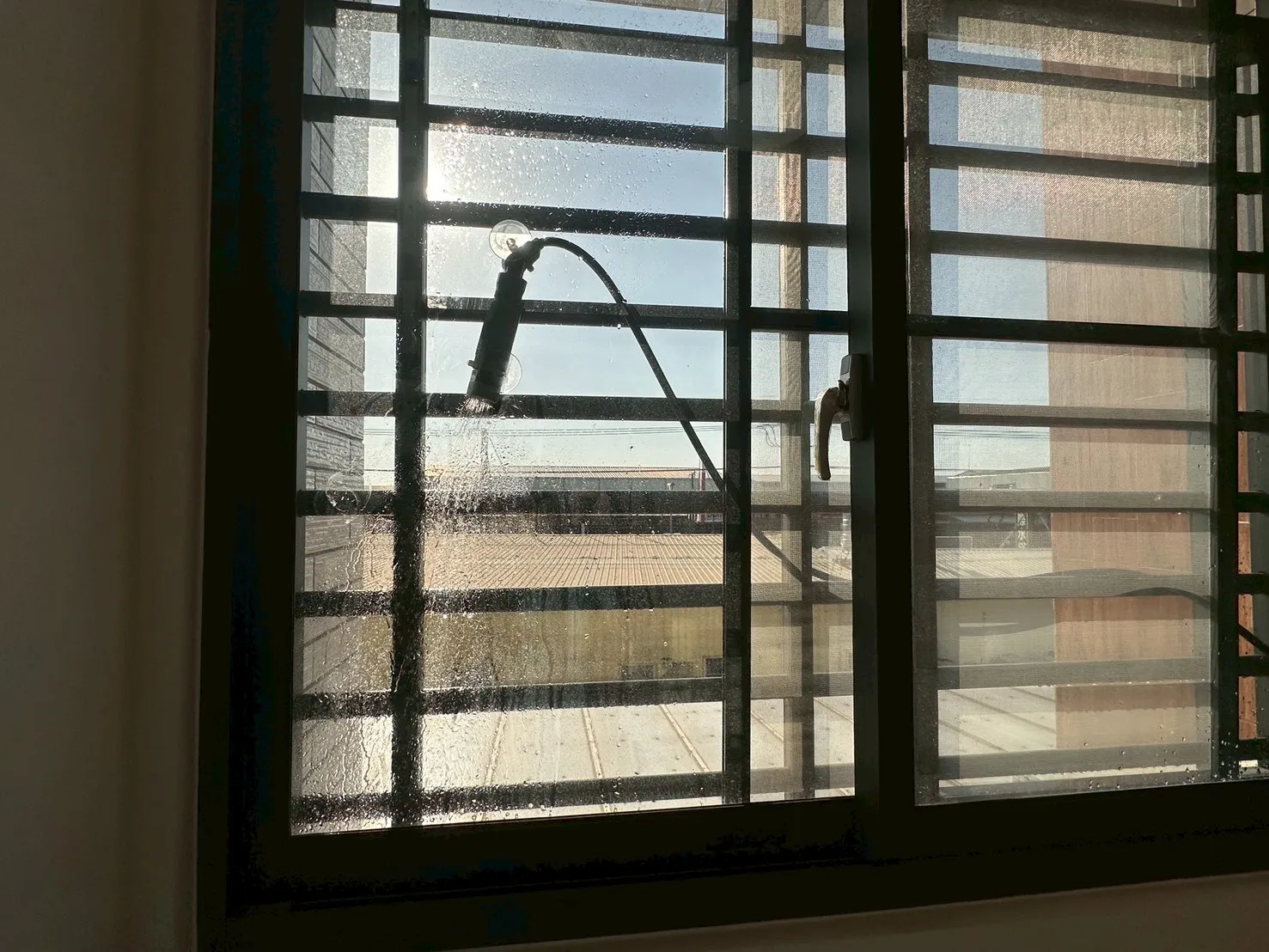 安南區 小王子8