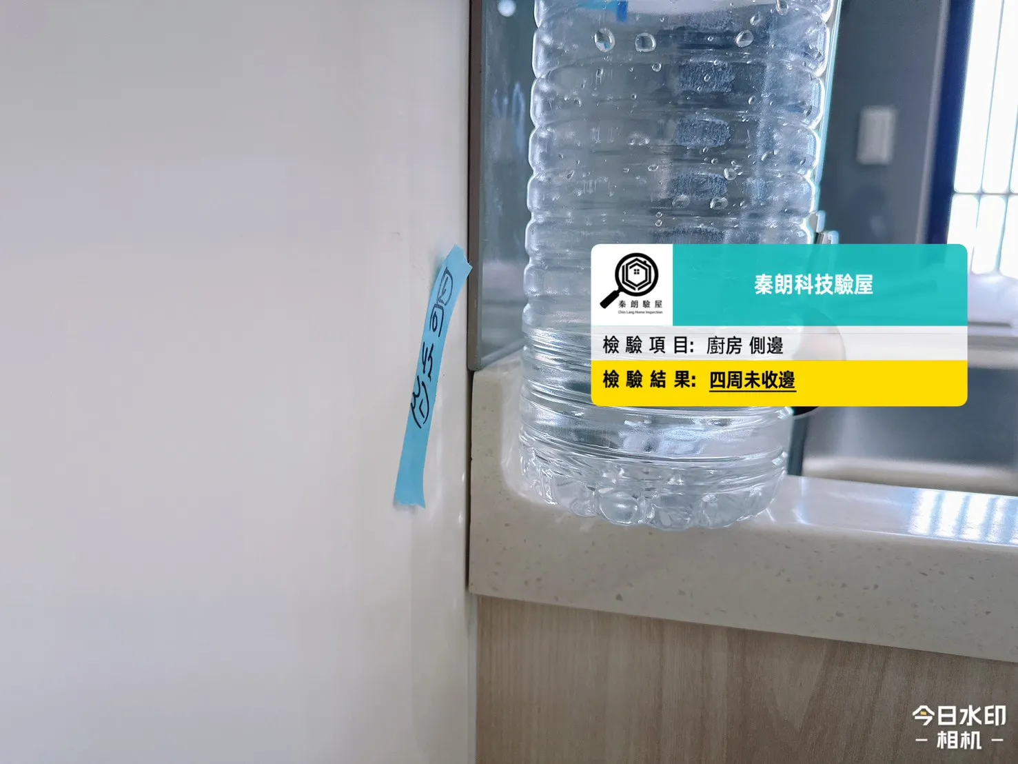 三名區 龍騰鑫空樹