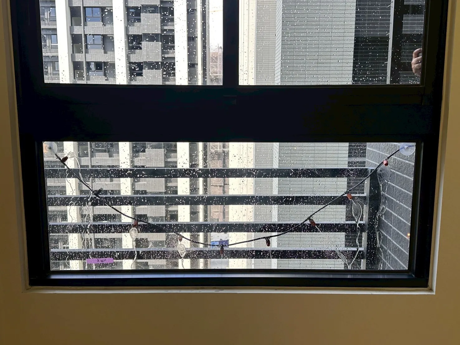 橋頭 達麗未來市
