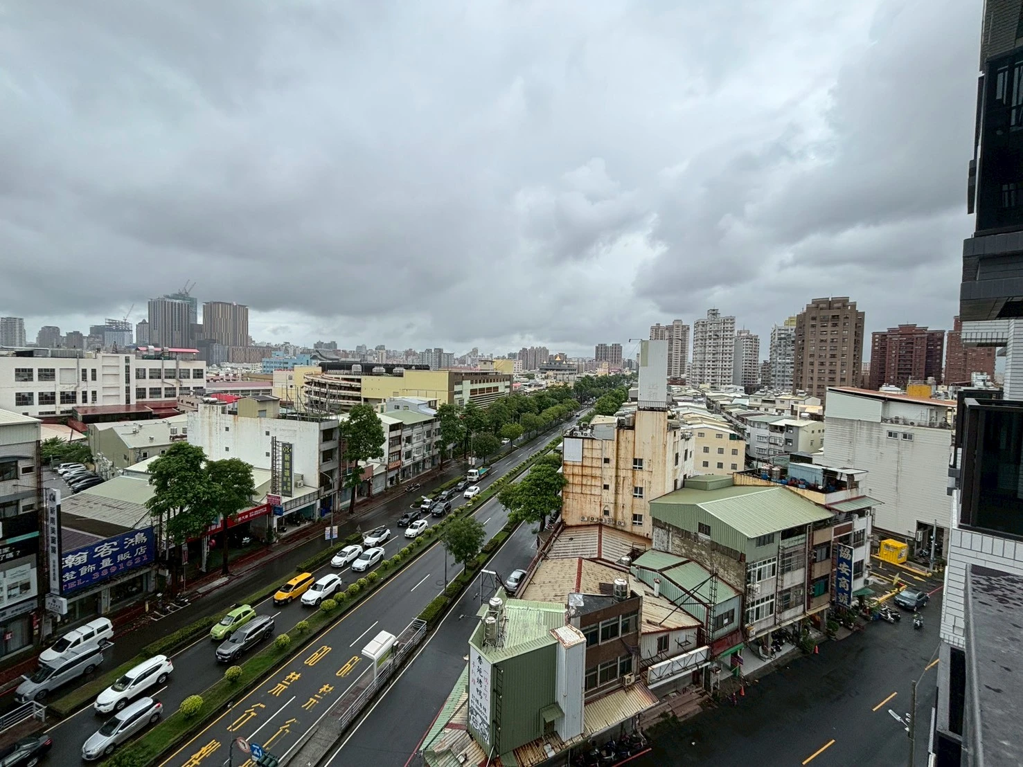 龍騰鑫空樹
