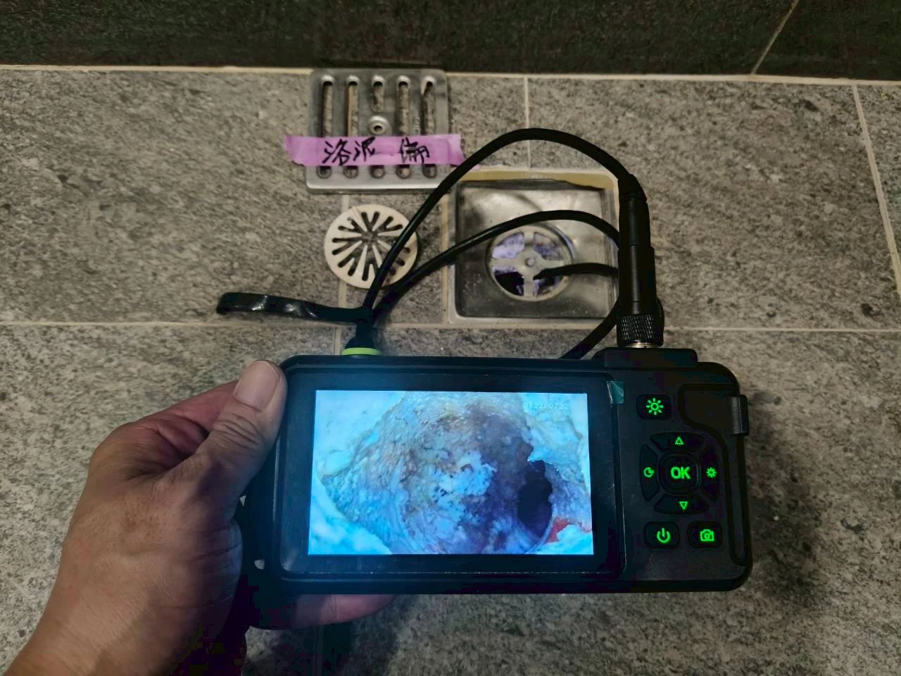 左營 高鐵song