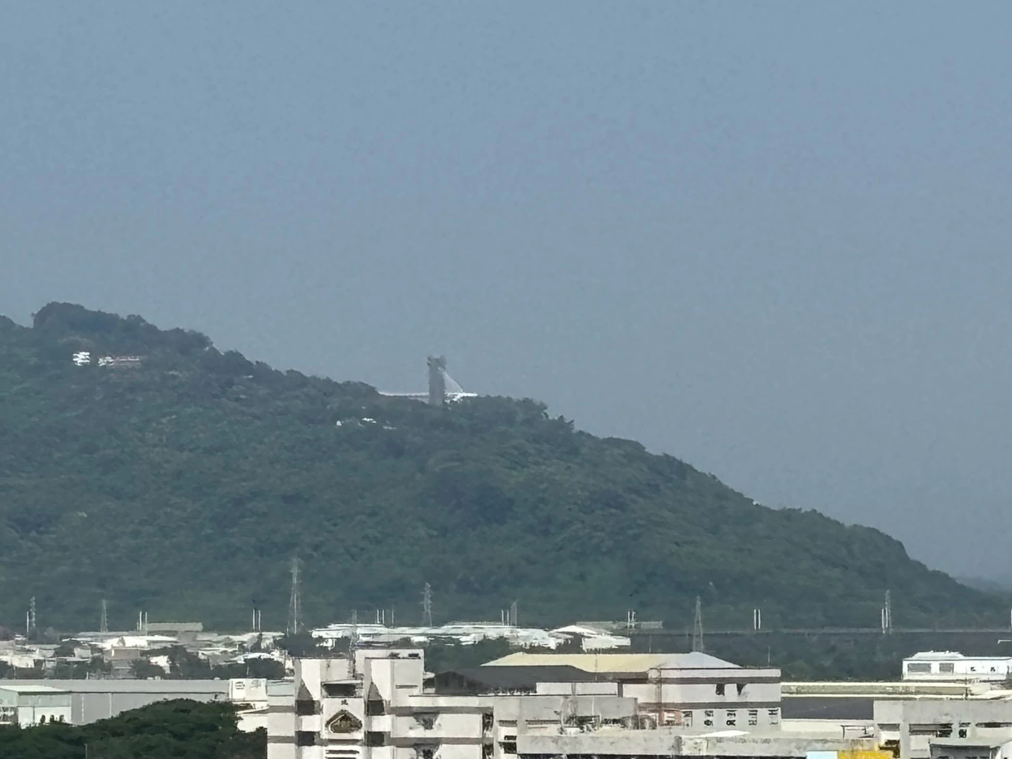 岡山 一功青