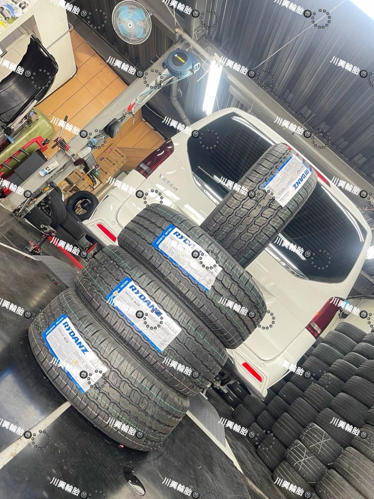 雷登輪胎 (Rydanz)