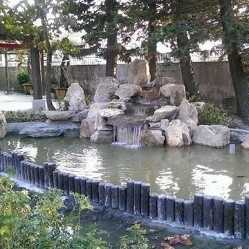 庭園造景植物種植/彰化庭園造景植物種植/台中庭園造景植物種植
