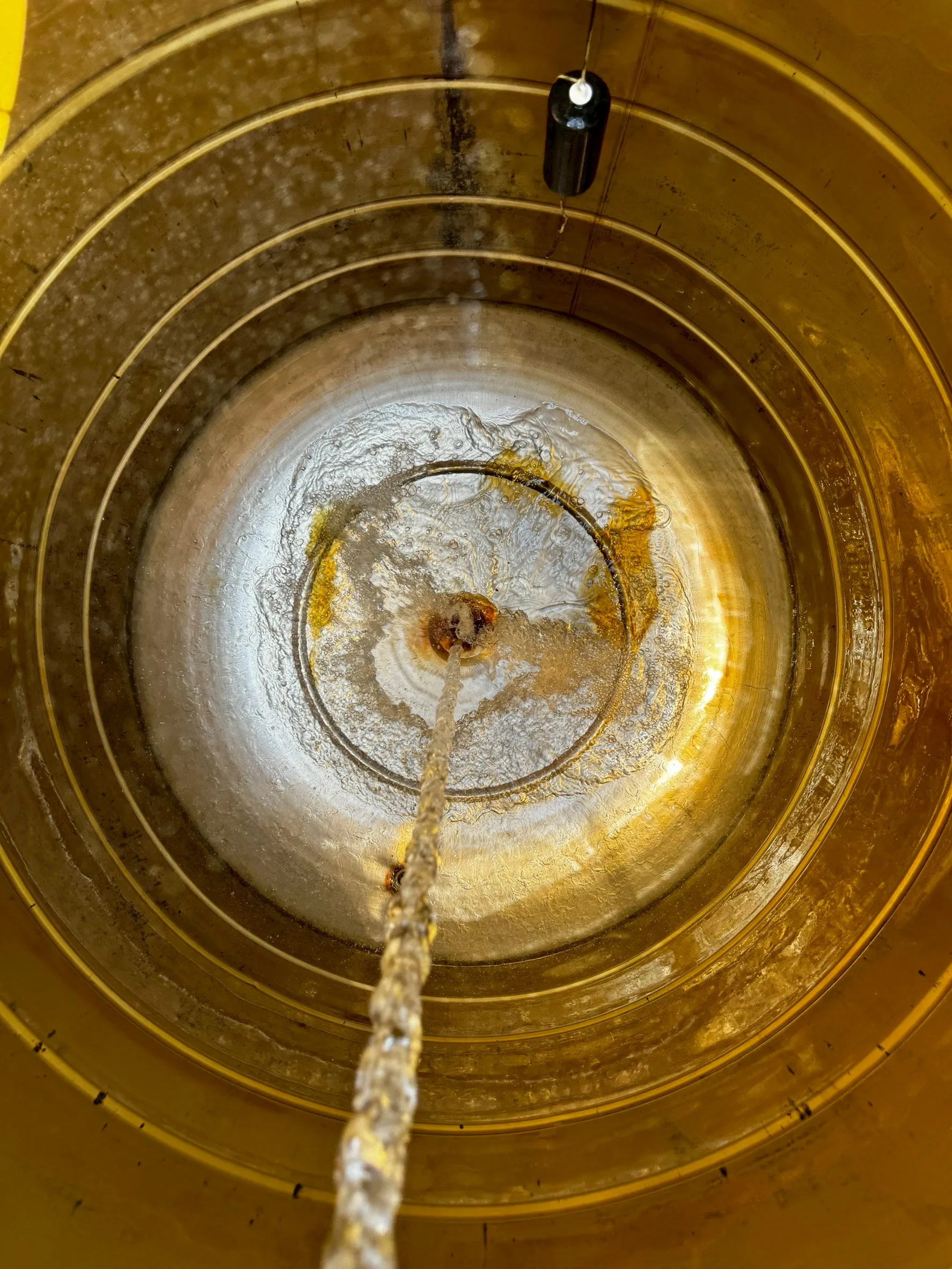 新竹陳先生水塔蓋子飛走( 鳥飛入溺斃清洗加消毒)