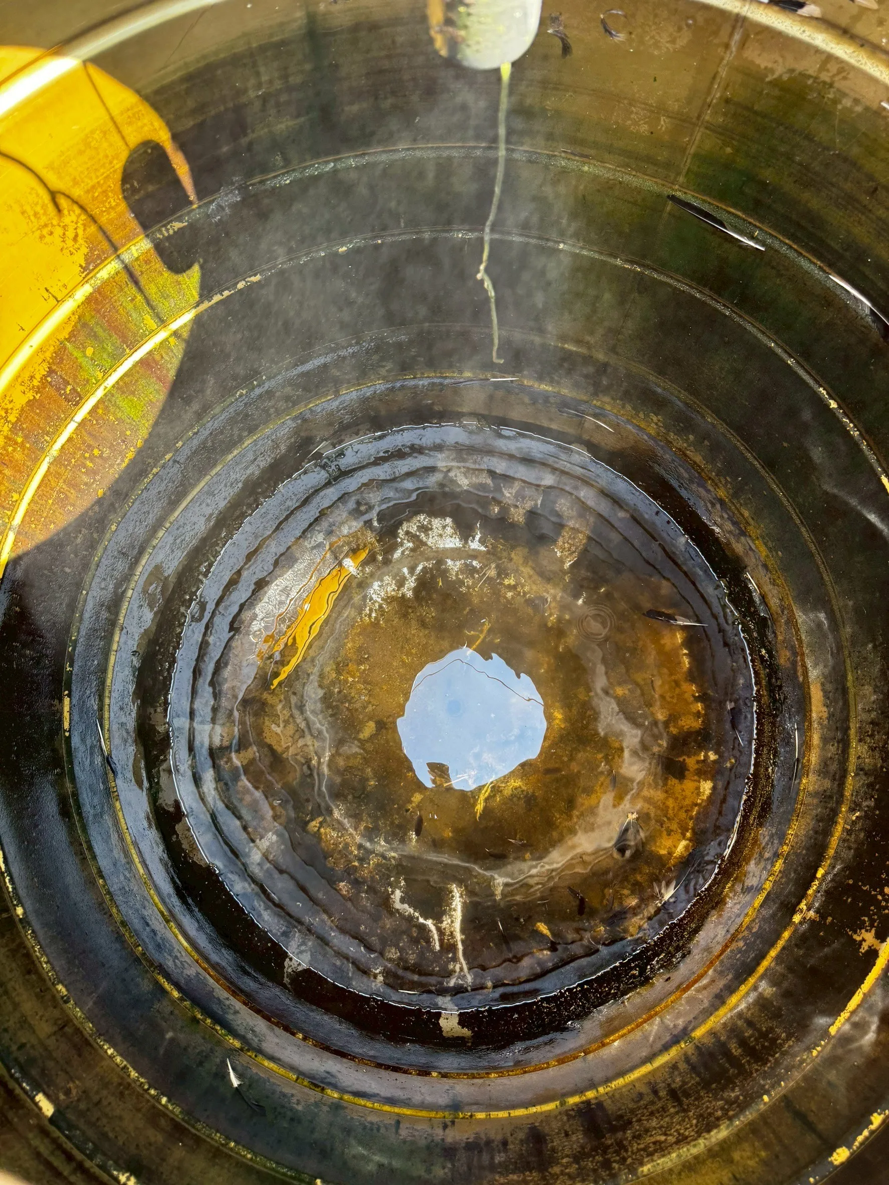 新竹陳先生水塔蓋子飛走( 鳥飛入溺斃清洗加消毒)