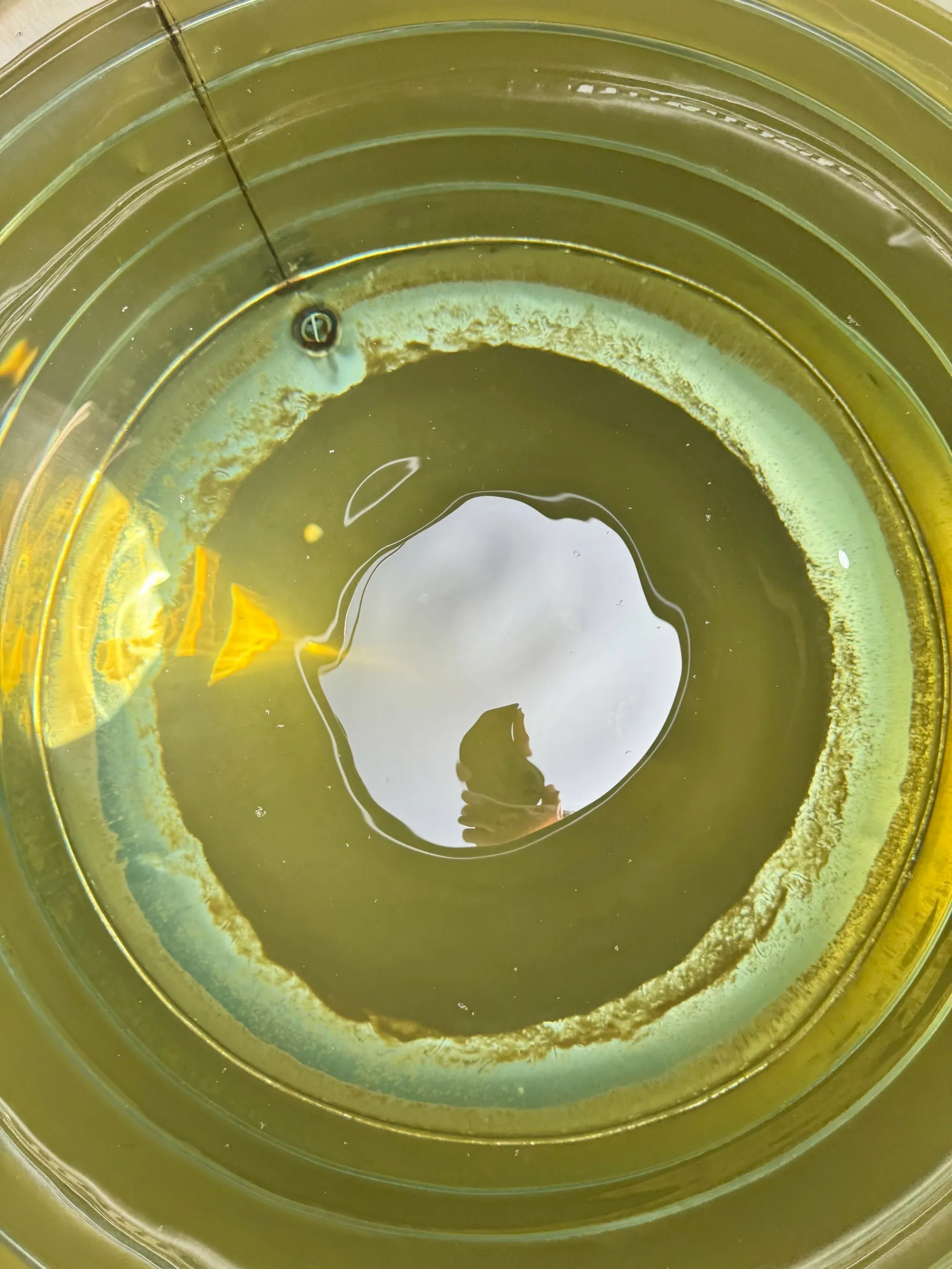 新竹新豐套房水塔