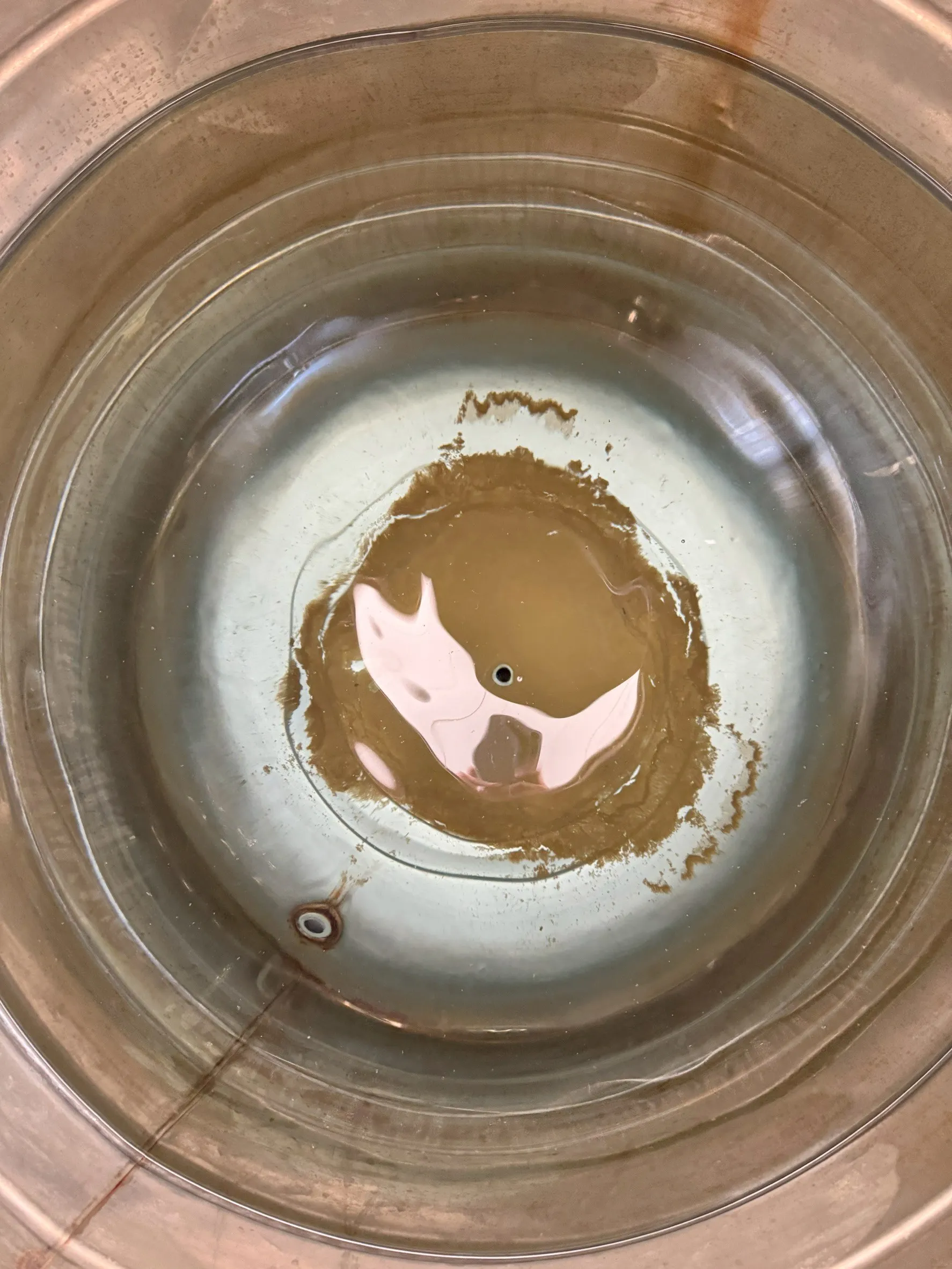 桃園莊小姐水塔清洗