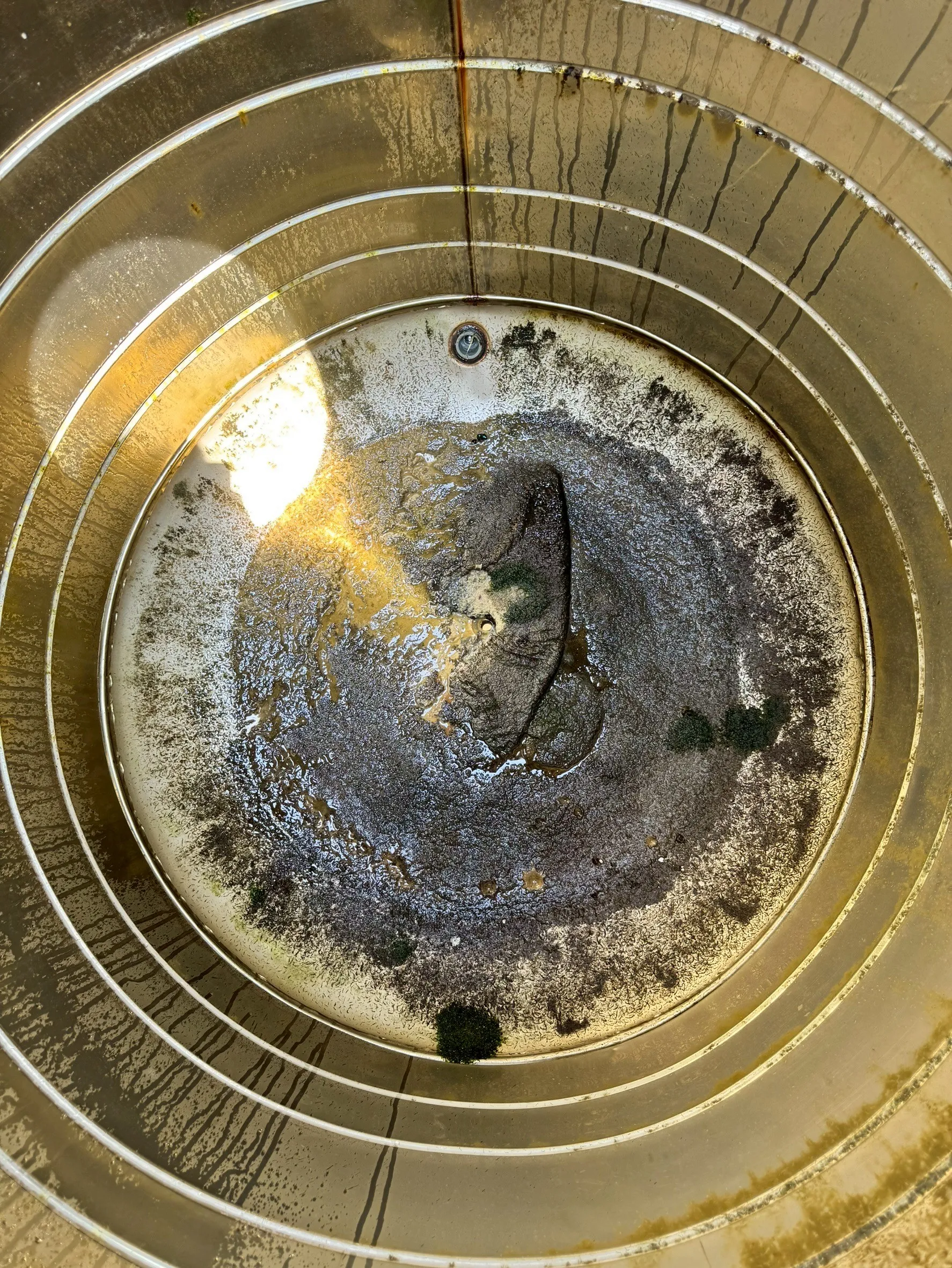 新竹新豐套房水塔