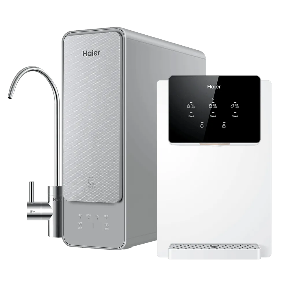 壁掛瞬熱飲水機(白)+RO600G淨水器
