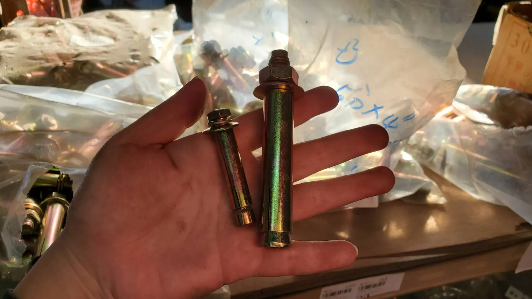 平頭&凸頭-壁虎