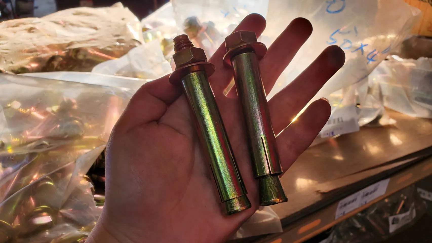 平頭&凸頭-壁虎