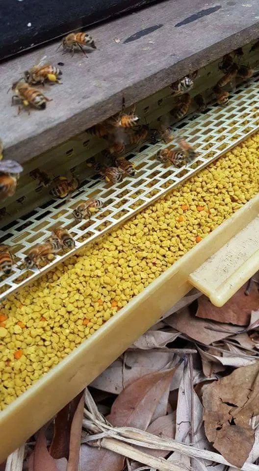 花粉的功效和成分