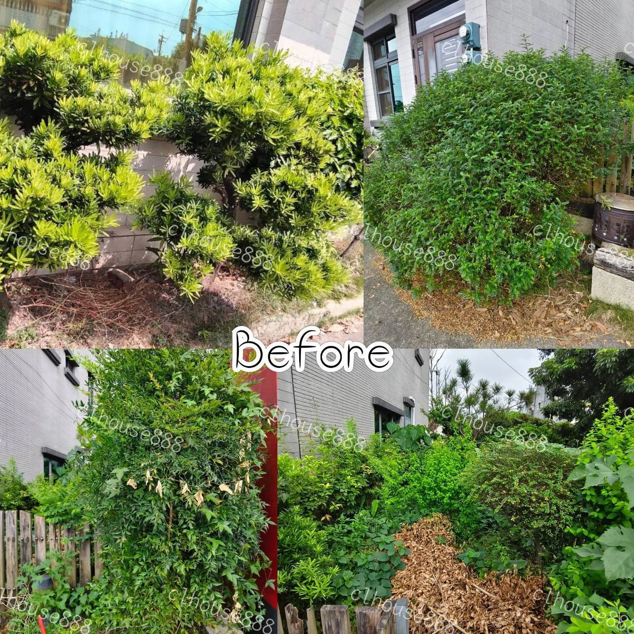 白河園藝修剪整理