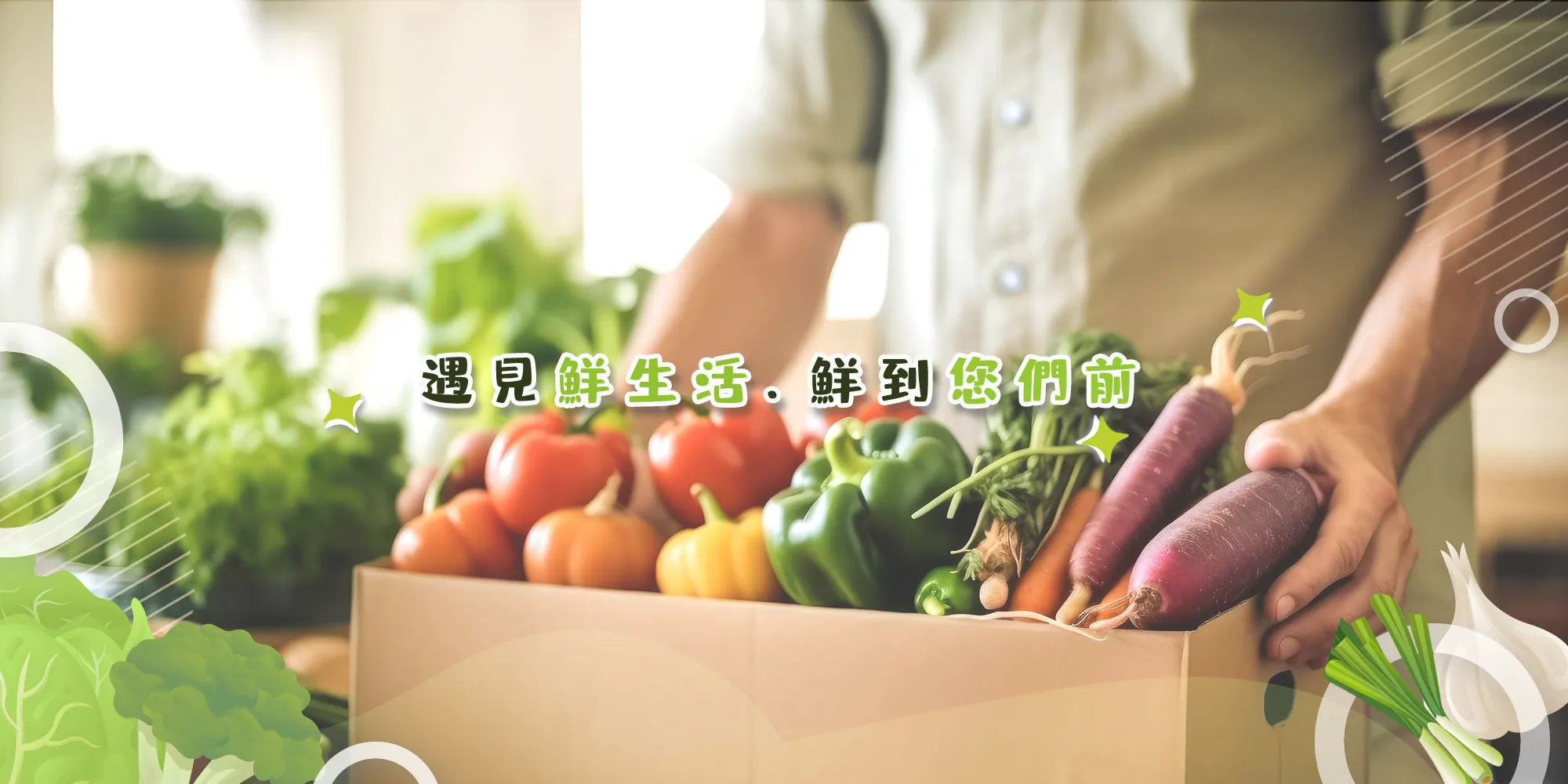 遇見鮮蔬果行-菜商,蔬菜批發,新竹蔬菜批發,北區蔬菜批發
