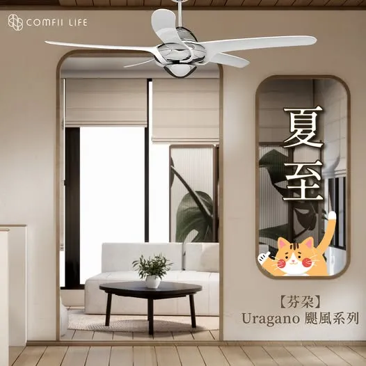 ｜夏至登場?
