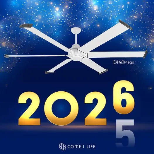 ｜2025掰掰
