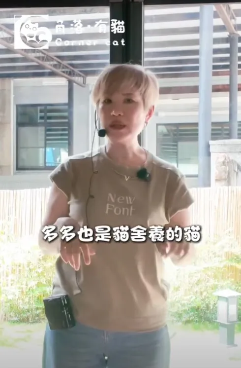 貓奴們是否發現，毛孩身上的每一處其實都是來自基因自然堆疊的美感呢？