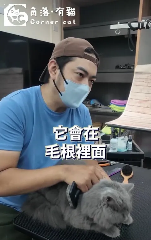 輕輕梳理，就是主子的小確幸