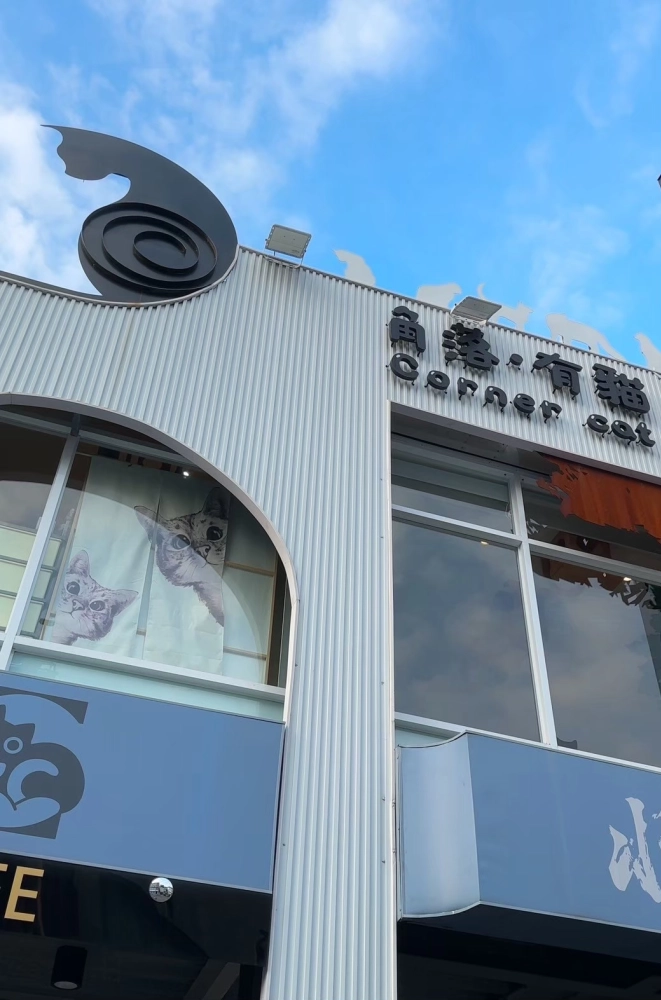 高雄店貓介紹