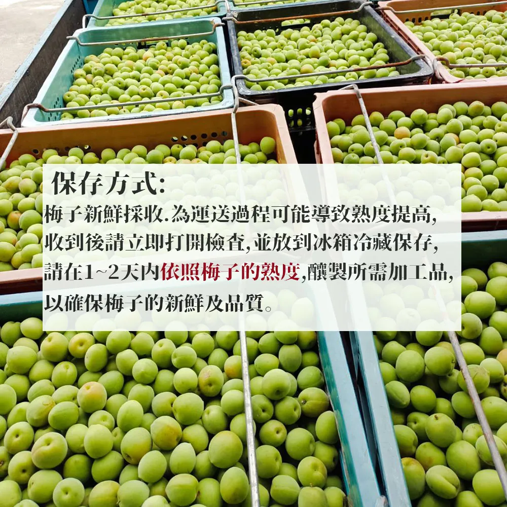台南梅嶺鮮採青梅/黃梅 10斤/20斤 (依現況採收/冷藏配送)