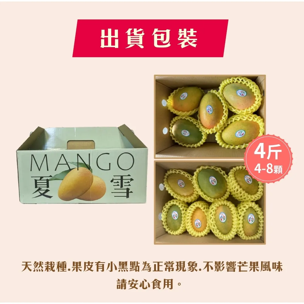 芒果界LV 台東夏雪芒果禮盒4斤4-8顆 6/15開始陸續出貨