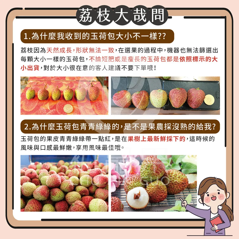 預購 季節限定 高雄大樹玉荷包禮盒3斤 冷藏配送  5/25開始陸續出貨