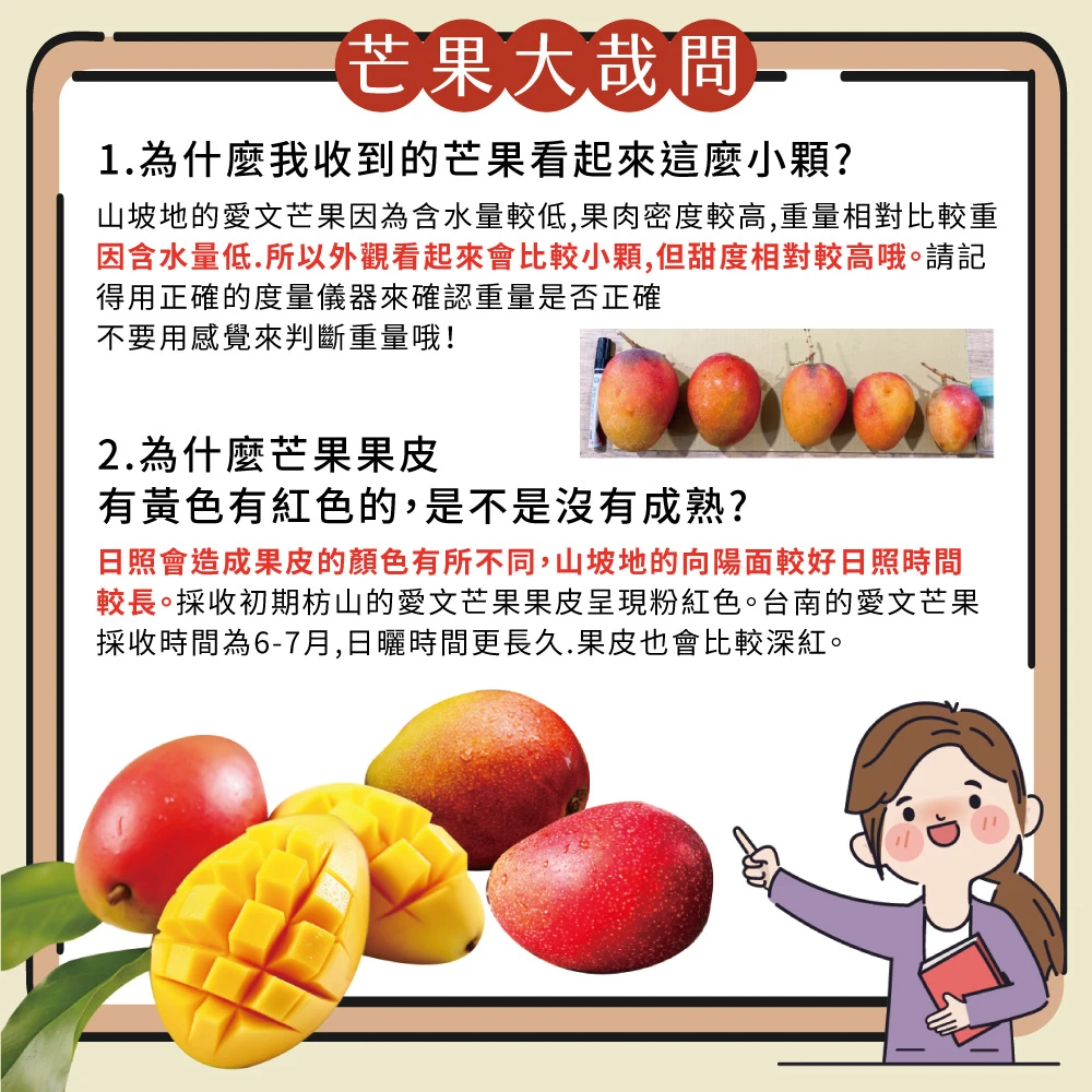 5/30-5/31脆友限定-楊忠憲愛文芒果(外銷大果) 10斤12-16顆x1箱