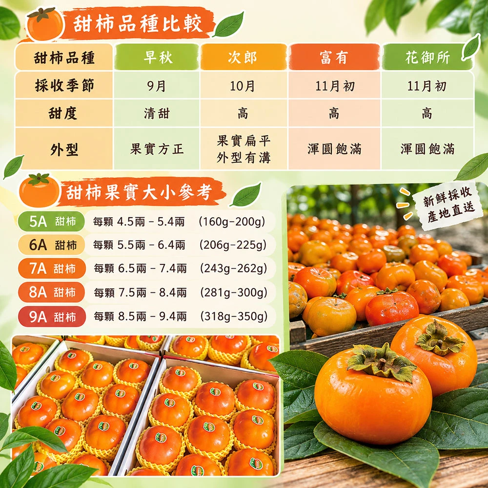 達觀部落御用甜柿禮盒  5A 6A 7A 8A 9A  1盒/2盒