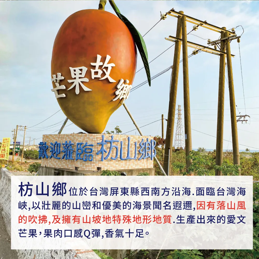 愛文芒果禮盒 5斤9-12顆 _枋山阿憲x山頂上的愛文芒果