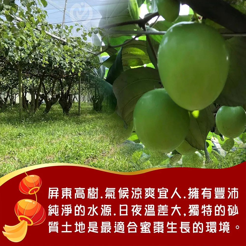 屏東高樹牛奶蜜棗禮盒3.5斤15-20顆