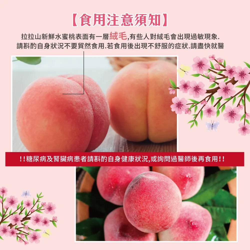 產地直送拉拉山水蜜桃禮盒