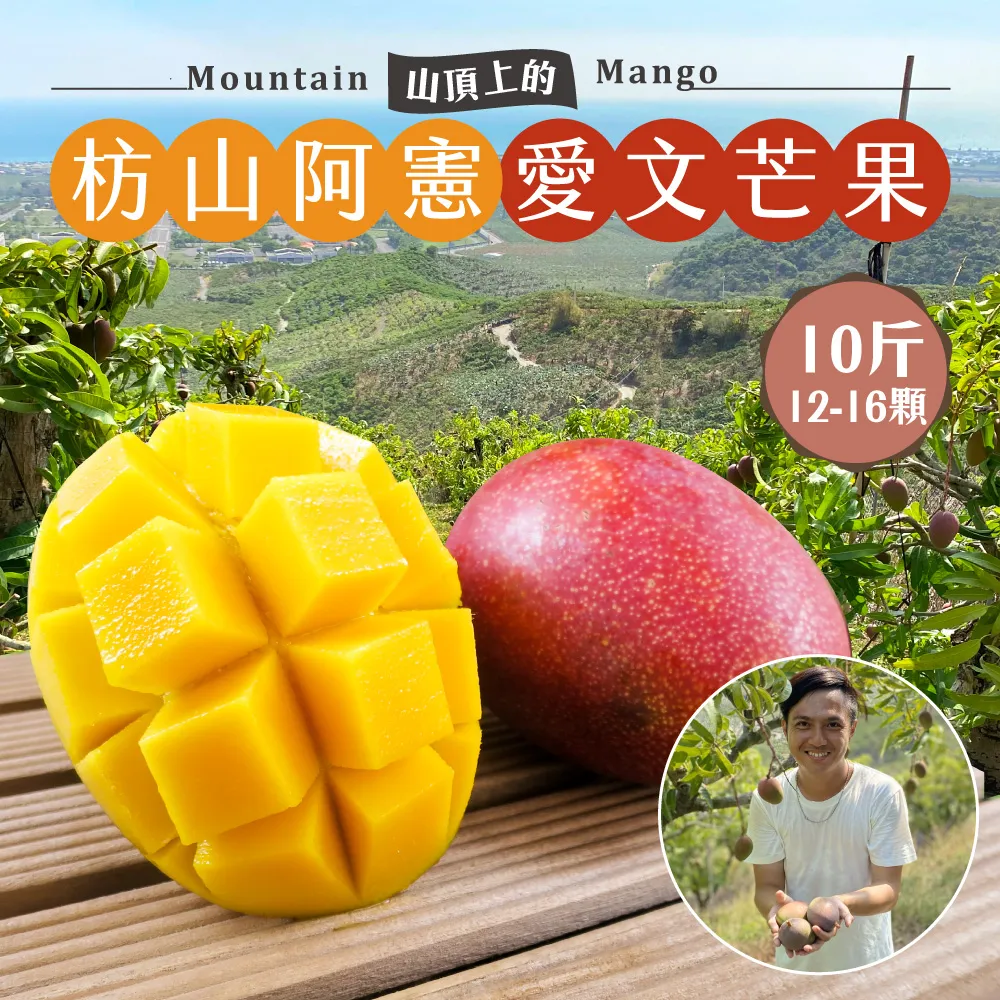 愛文芒果禮盒 10斤12-16顆 _枋山阿憲x山頂上的愛文芒果