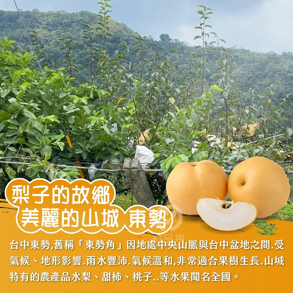 台灣寶島甘露梨禮盒2顆/盒    越大越好吃