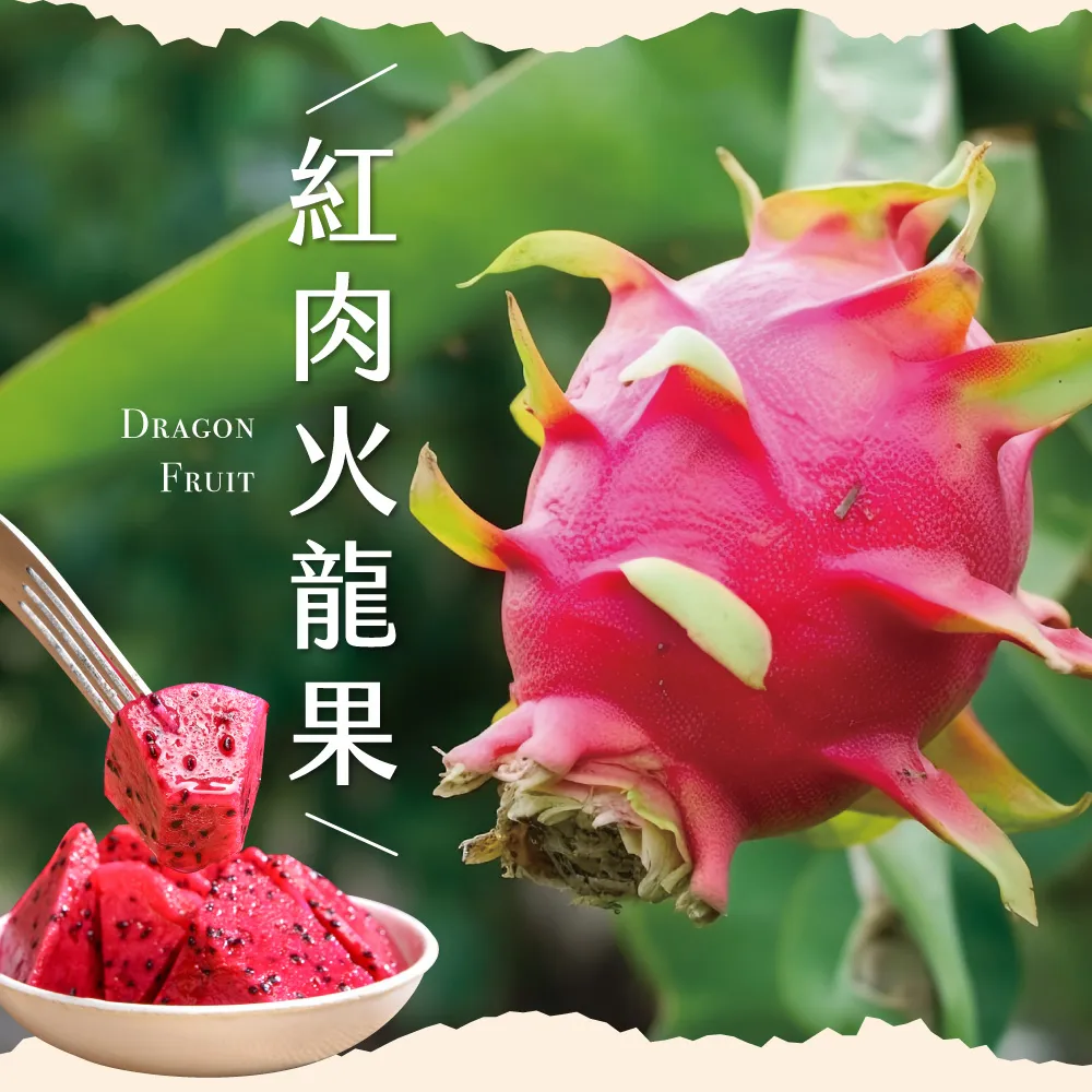 產地直送紅肉火龍果禮盒