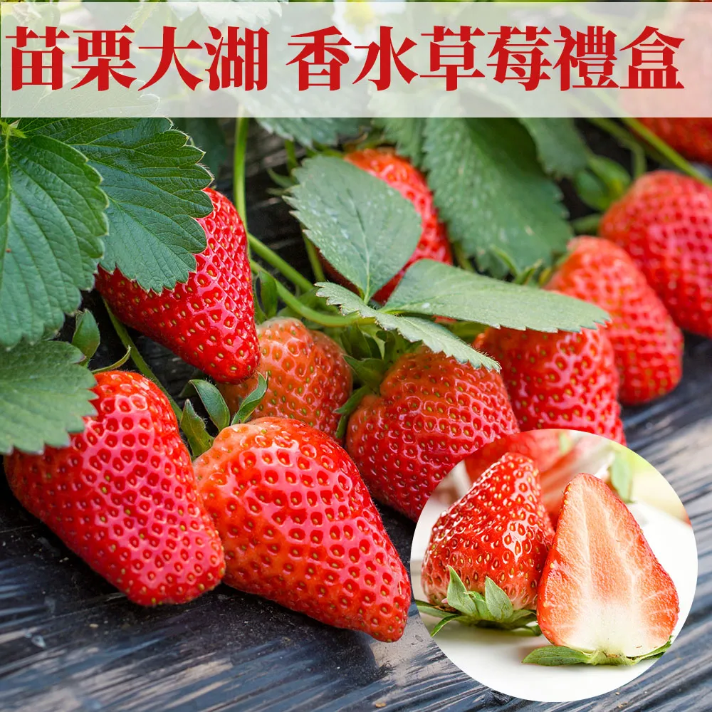 苗栗大湖香水草莓禮盒 2.5斤