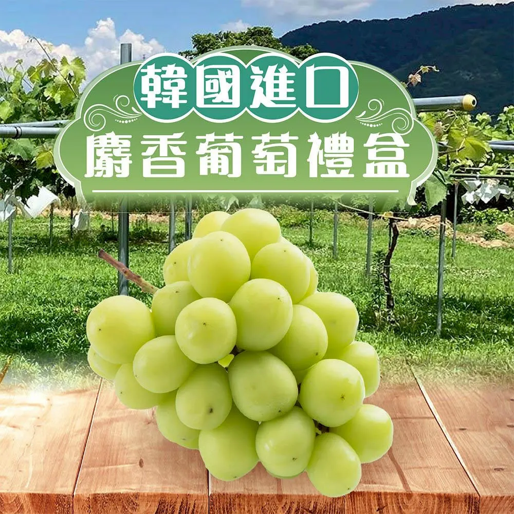 韓國空運進口麝香葡萄 -限時搶購特價中_冷藏配送