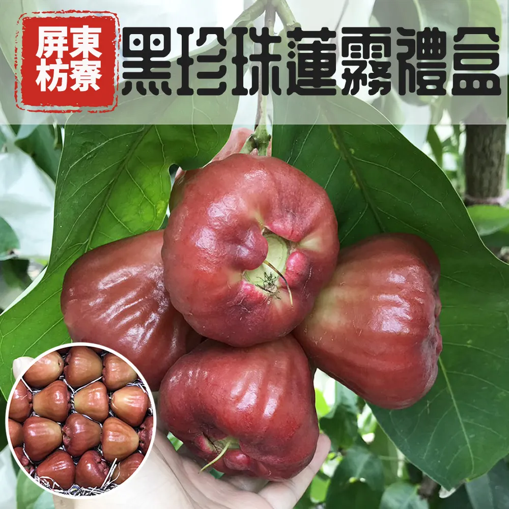 屏東枋寮黑珍珠蓮霧禮盒 3斤/4斤 (最後接單2/9最後出貨2/10年後2/23開始出貨)