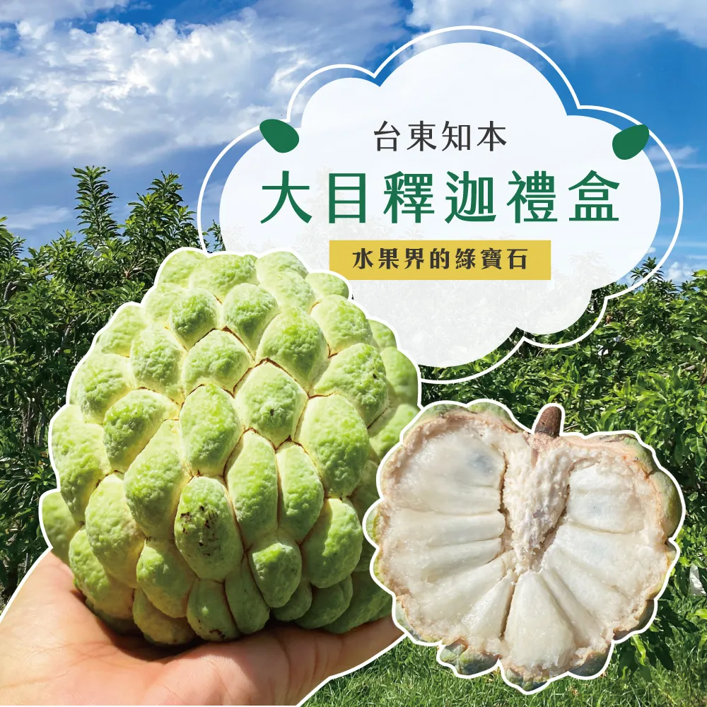 產地直送台東知本大目釋迦禮盒 5斤/10斤 