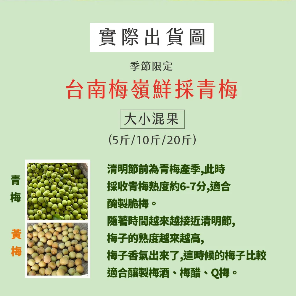 台南梅嶺鮮採青梅/黃梅 10斤/20斤 (依現況採收/冷藏配送)