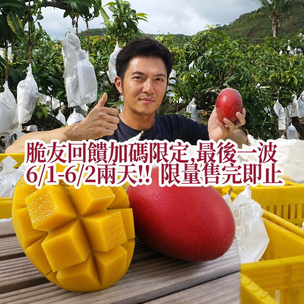 活動已結束,感謝熱烈訂購!!脆友加碼6/1-6/2兩天脆友限定-楊忠憲愛文芒果(外銷大果) 10斤12-16顆x1箱 (貨到付款 需另加30元)預計6/15-6/25出貨