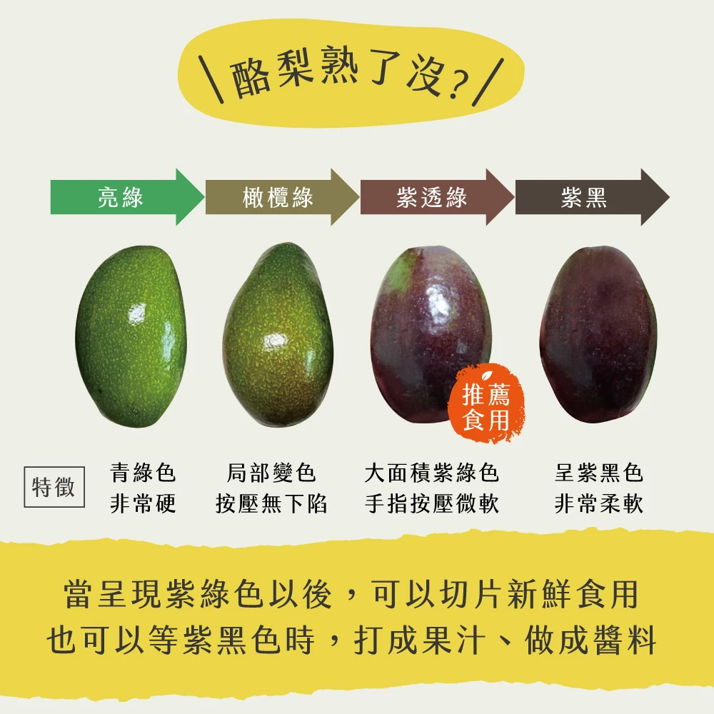 屏東高樹鮮採酪梨禮盒