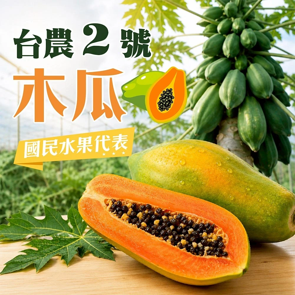 台農2號木瓜 6斤5-9顆 1箱/2箱
