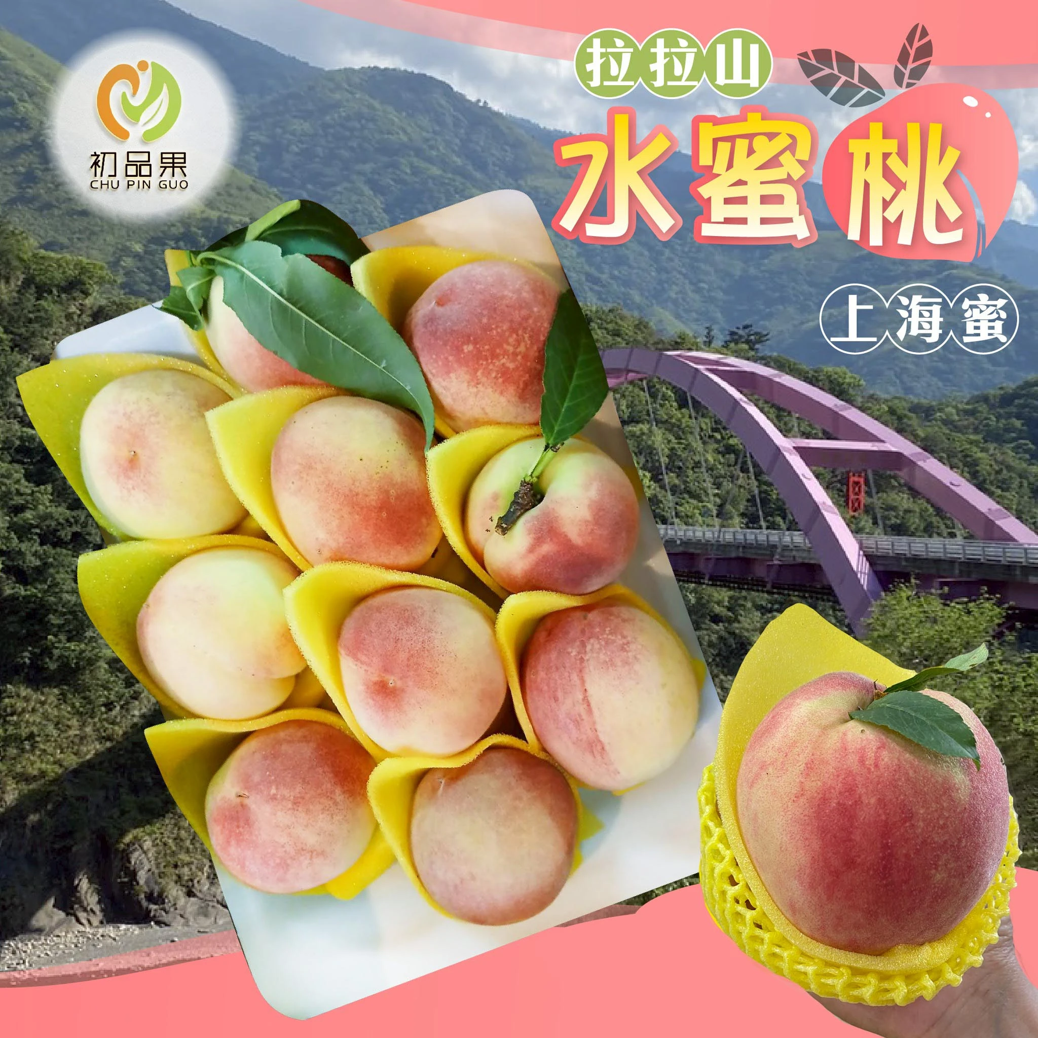 拉拉山上海蜜水蜜桃禮盒