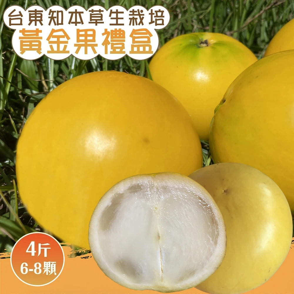 台東知本黃金果禮盒