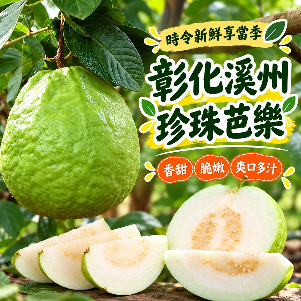 彰化溪州珍珠芭樂禮盒5斤6-10顆