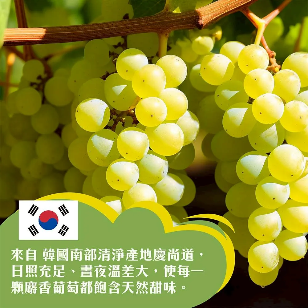 韓國空運進口麝香葡萄