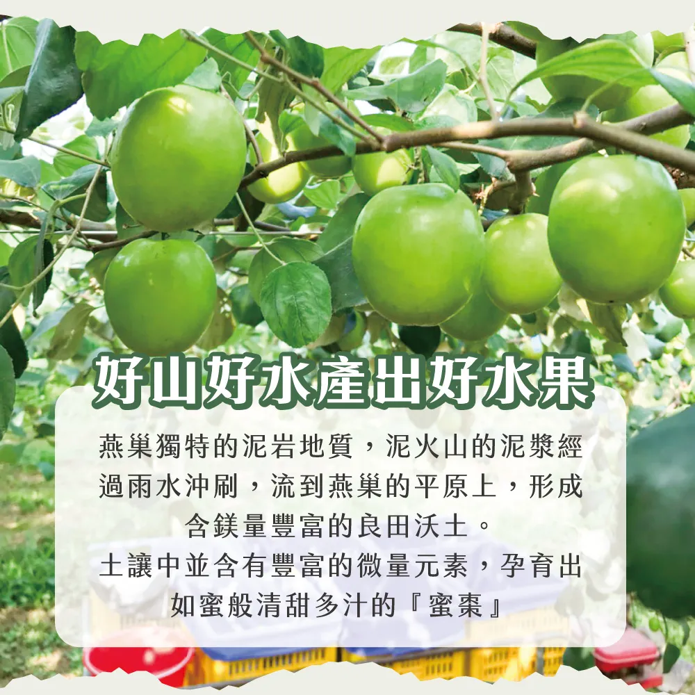 (企業訂購)高雄燕巢雪麗牛奶蜜棗禮盒x60盒