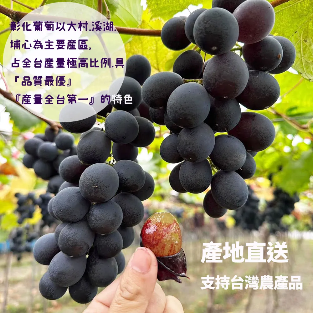 (冷藏)【產地直送】彰化溪湖巨峰葡萄禮盒(冷藏配送)